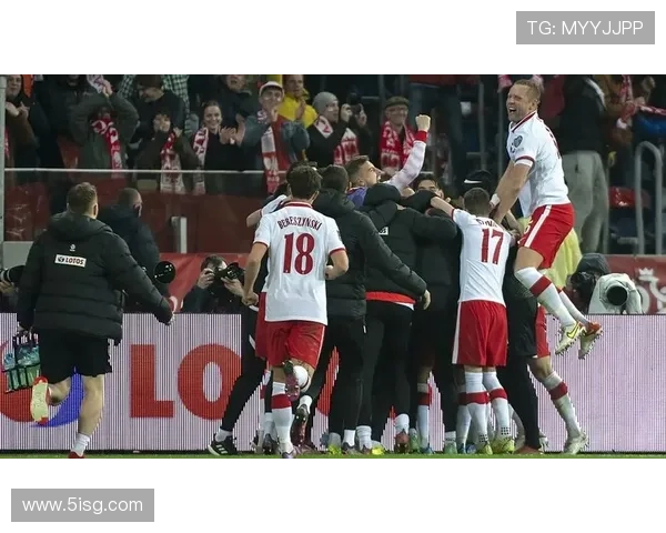 瑞典对波兰附加赛门票售罄